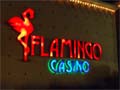 Casino Flamingo en Merlo San Luis