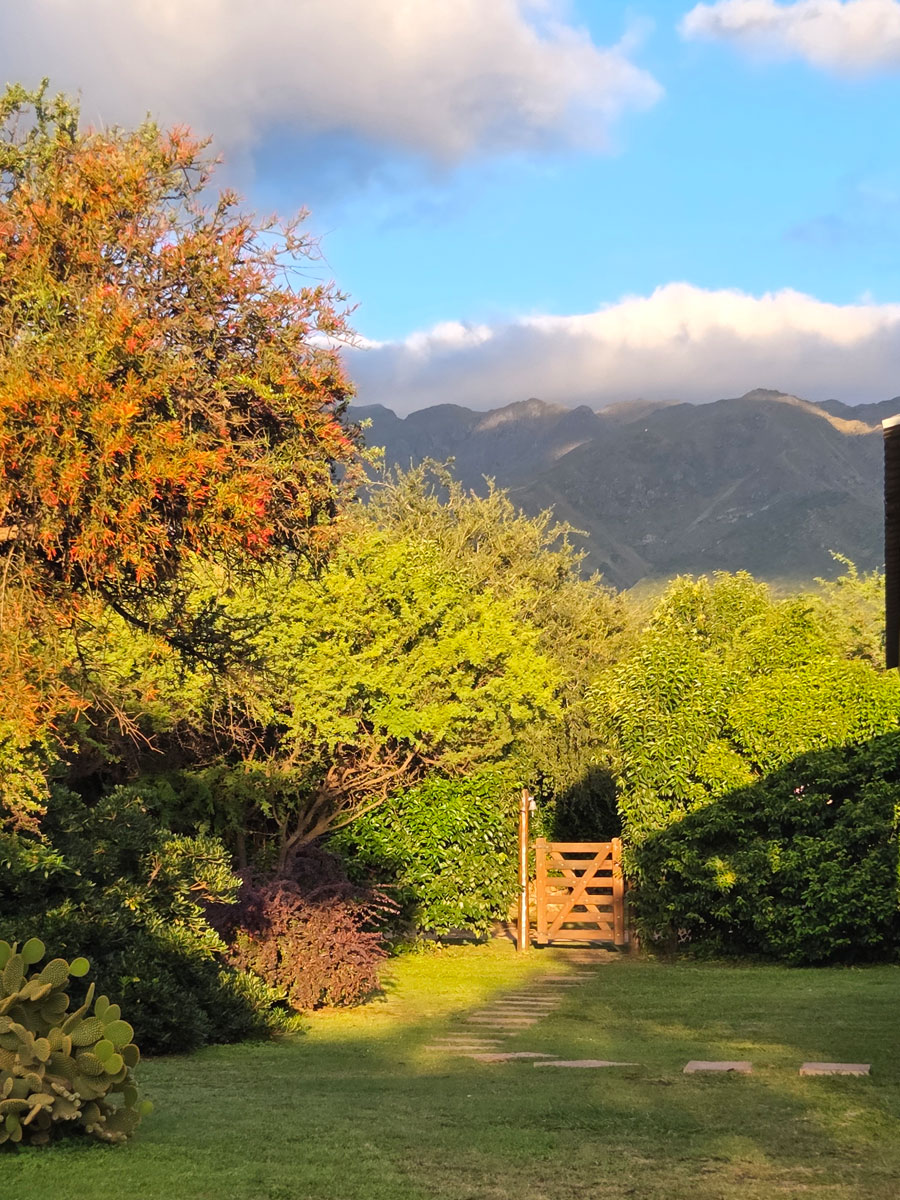 Cabañas Punto Serrano rodeadas de monte serrano en Carpintería